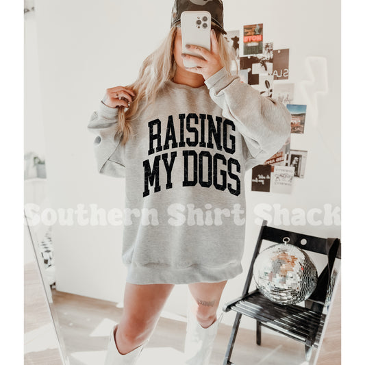 Raising My Dogs Sweatshirt | Ash gray