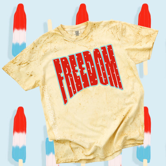 Retro Freedom mineral wash cc tee