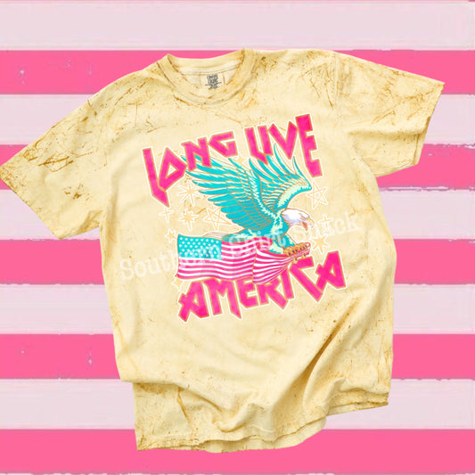 Long Live America CC mineral wash tee