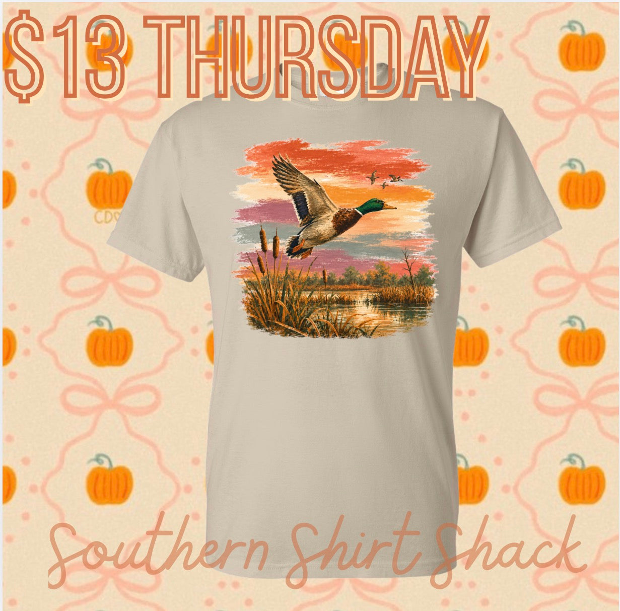 $13 THURSDAY T-Shirt of the Day | Sunset Duck | NO COUPON CODES ALLOWED |  Gildan Dryblend | YOUTH XS-ADULT 3X